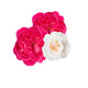 Luxurious Damask Rose