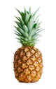 Juicy Pineapple